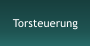 Torsteuerung